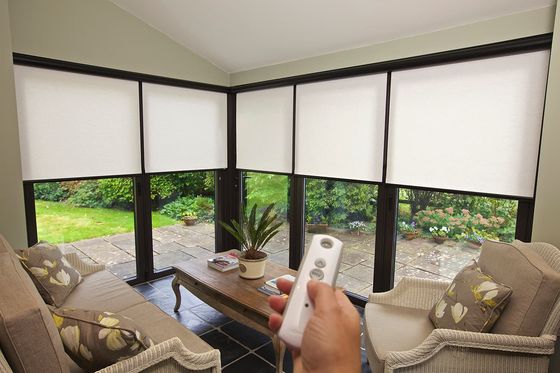 Moderne het Vensterzonneblinden van de Luxerol Decoratief voor OEM van de Huiswoonkamer ODM