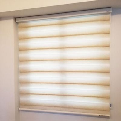 Elektrisch op en neer en dag en nacht de Draadloze Woonkamer van het de Gordijnenhotel van de Bodemhoningraat
