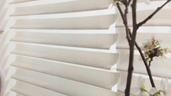 De binnen Zuivere Elegante Shangri-Zonneblinden van La voor Slaapkamerwoonkamer