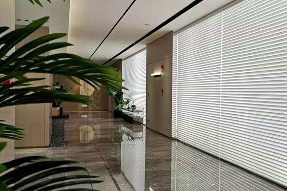 De romantische Elegante Shangri-Zonneblinden van La, de In te ademen Gordijnen van het Slaapkamervenster