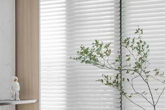 De Gordijnen van La van Shangri van de polyesterelektriciteitspanne maken Handkettingscontrole waterdicht