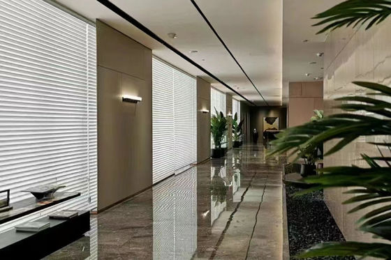Gordijnen van La van slaapkamer de Windshangri voor Decoratie het Volledige Lichte In de schaduw stellen