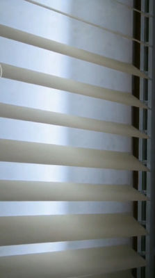 Pvc-van de de Olie Bestand Droom van de schuim het Semi Blinde Waterdichte UVschimmel Verticale Gordijn