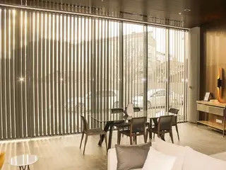 Het semi Gordijn van het Blindheidsbureau drapeert van het Balkon het Verticale Zonneblinden van de Slaapkamerbadkamers Gordijn van de de Stoffentrekkracht
