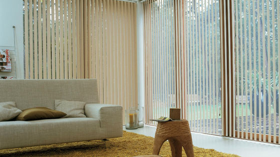 Van het Vensterzonneblinden van decoratie Noordse Verticale Gordijnen Intelligente Elektrische het Balkon Halve Elektriciteitspanne